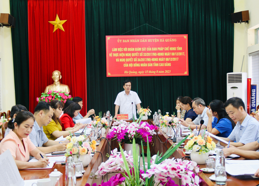 Phó Bí thư Thường trực Tỉnh ủy, Chủ tịch HĐND tỉnh Triệu Đình Lê phát biểu kết luận buổi làm việc.