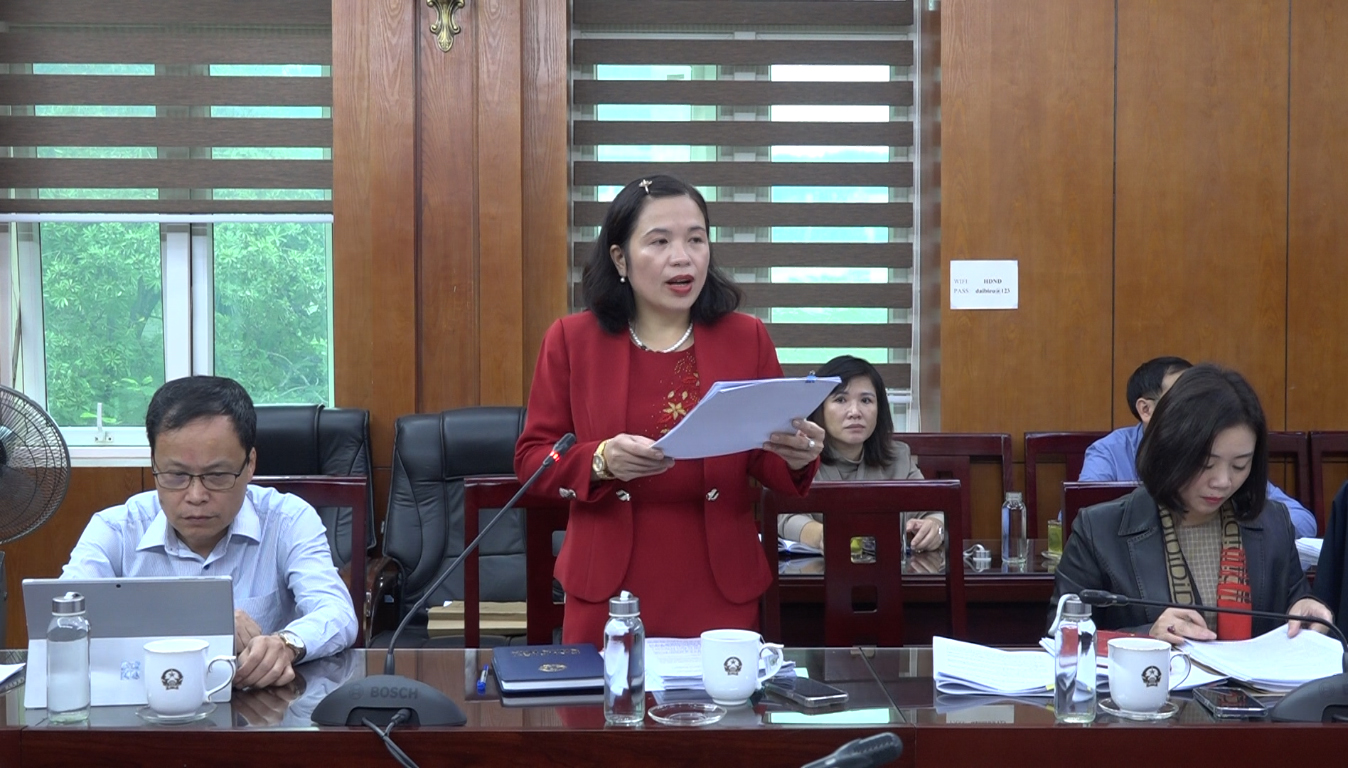 Phó Trưởng Ban Kinh tế - Ngân sách Mạc Thanh Tâm phát biểu ý kiến