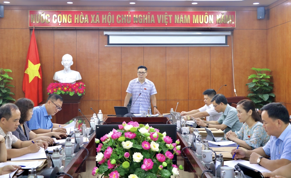 Trưởng Ban Văn hóa - Xã hội HĐND tỉnh Nông Hải Lưu phát biểu tkết luận phiên họp thẩm tra