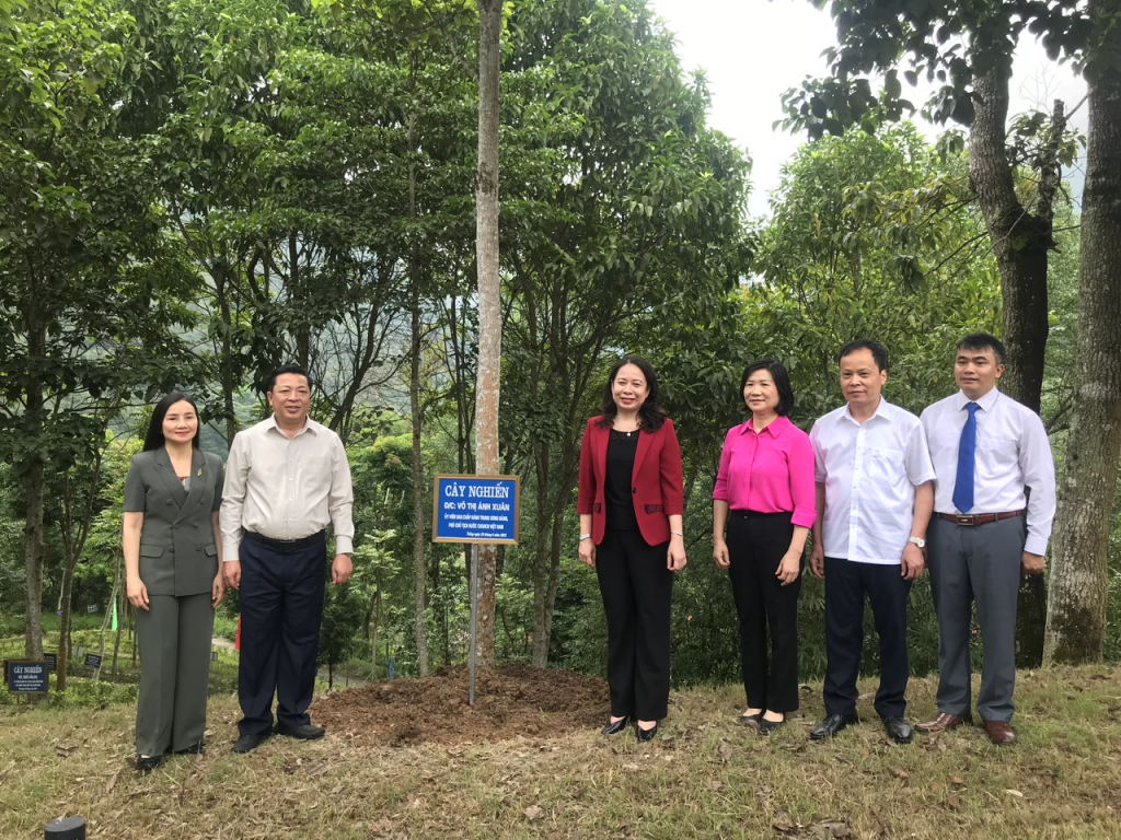 Phó Chủ tịch nước Võ Thị Ánh Xuân cùng các đồng chí lãnh đạo tỉnh trồng cây lưu niệm tại Đền thờ Chủ tịch Hồ Chí Minh.