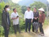 Đoàn công tác khảo sát thực tế tại một số tuyến đường bị ngập khi nước dâng tại xóm Bản Buống (Quảng Hòa).