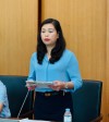 Đại biểu Quốc hội Đoàn Thị Lê An phát biểu thảo luận tại tổ