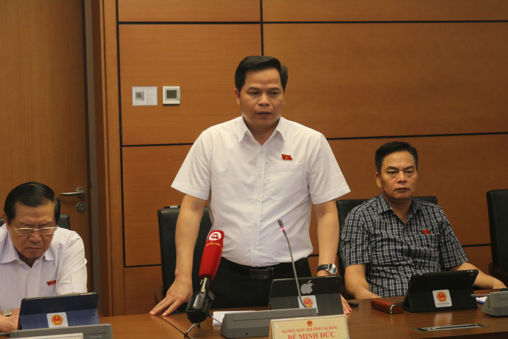 Phó trưởng đoàn chuyên trách Đoàn đại biểu Quốc hội tỉnh Bế Minh Đức phát biểu thảo luận tại tổ.