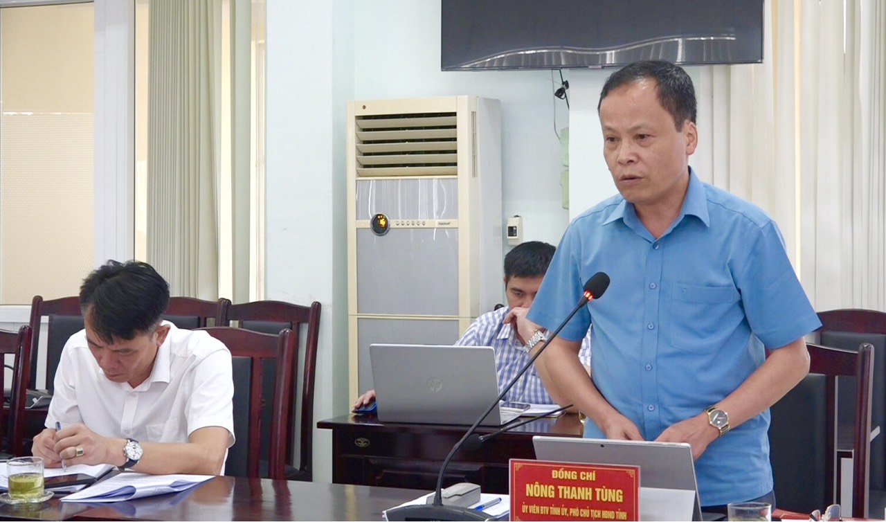 Đồng chí Nông Thanh Tùng, Ủy viên BTV Tỉnh ủy, Phó Chủ tịch HĐND tỉnh phát biểu chỉ đạo tại cuộc họp.
