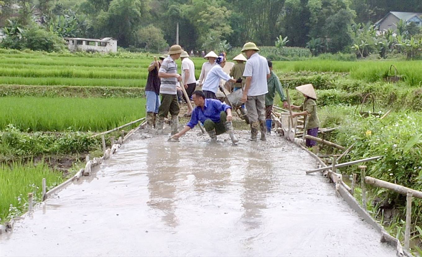 Đầu tư xây dựng đường nội đồng giúp bà con thuận lợi trong việc chăm sóc, thu hoạch