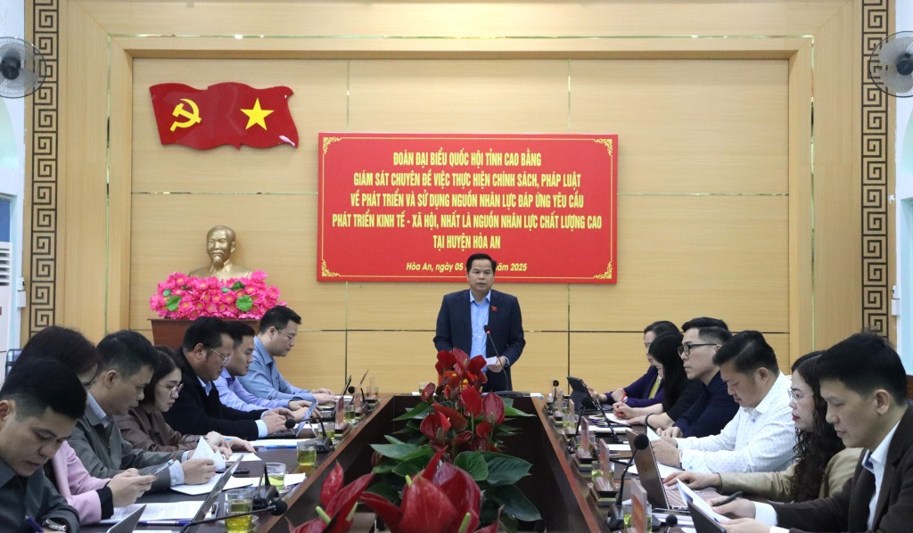 Phó Trưởng đoàn chuyên trách Đoàn đại biểu Quốc hội tỉnh Bế Minh Đức phát biểu kết luận buổi giám sát
