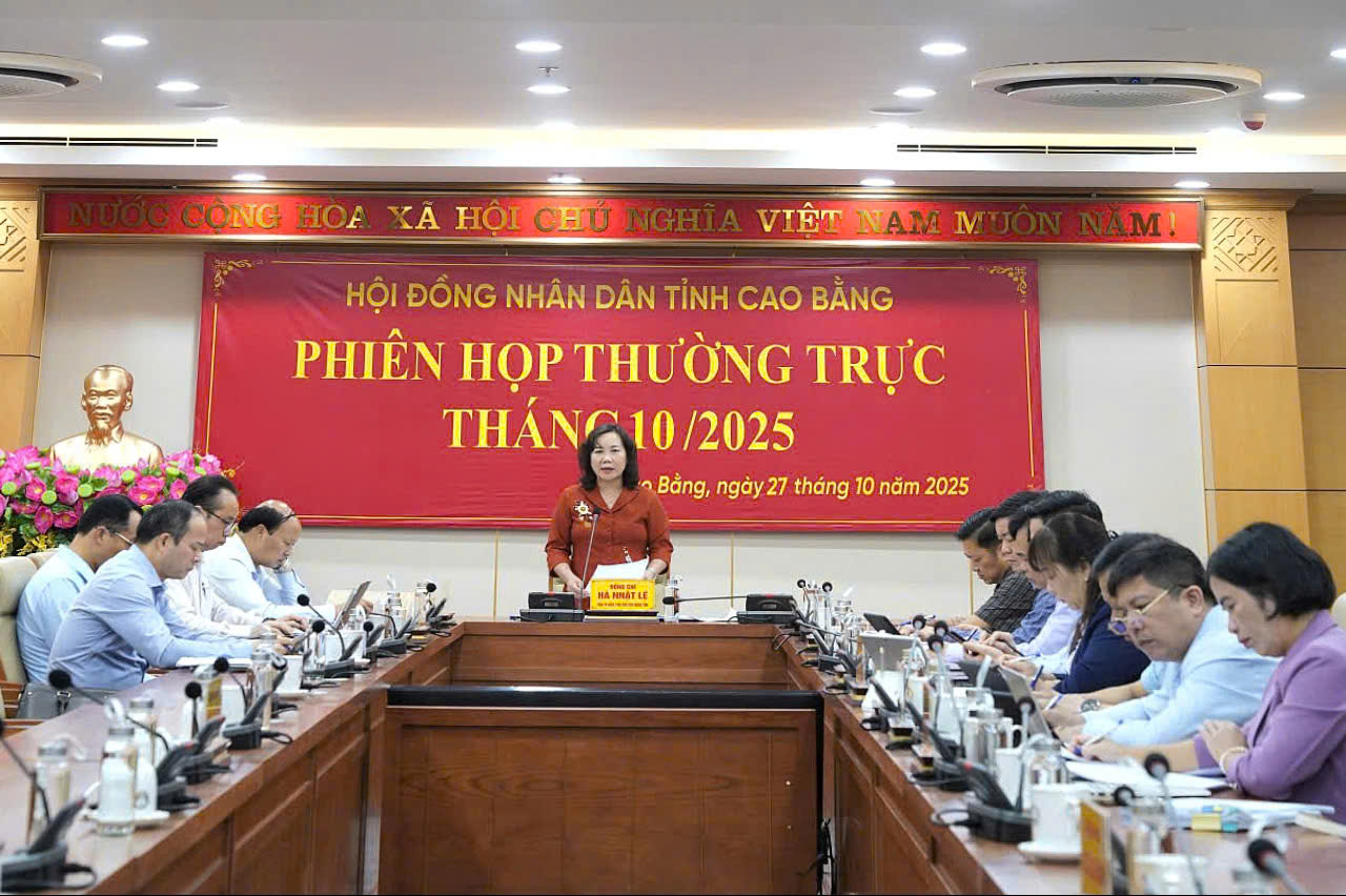 Đồng chí Hà Nhật Lệ, Tỉnh ủy viên, Phó Chủ tịch HĐND tỉnh phát biểu kết luận phiên họp. ảnh (Lầu Hải BCB)