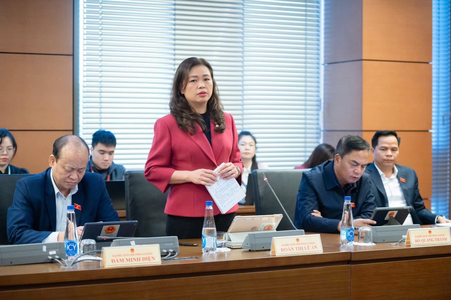 Đại biểu Quốc hội Đoàn Thị Lê An, phát biểu thảo luận