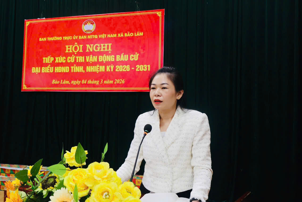 Ứng cử viên Hoàng Thị Huyền, Phó Trưởng phòng Dân nguyện - Thông tin, Văn phòng Đoàn ĐBQH và HĐND tỉnh phát biểu tại hội nghị.