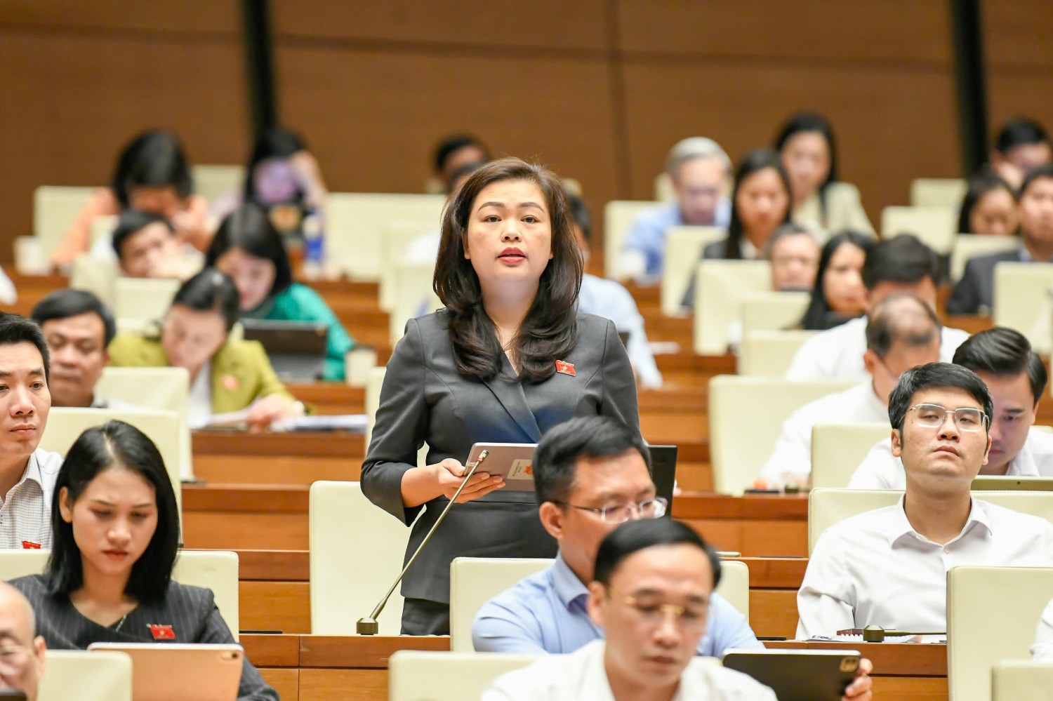 Đại biểu Quốc hội Đoàn Thị Lê An, phát biểu thảo luận tại Hội trường