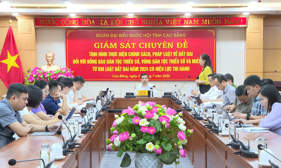 Các đại biểu dự họp