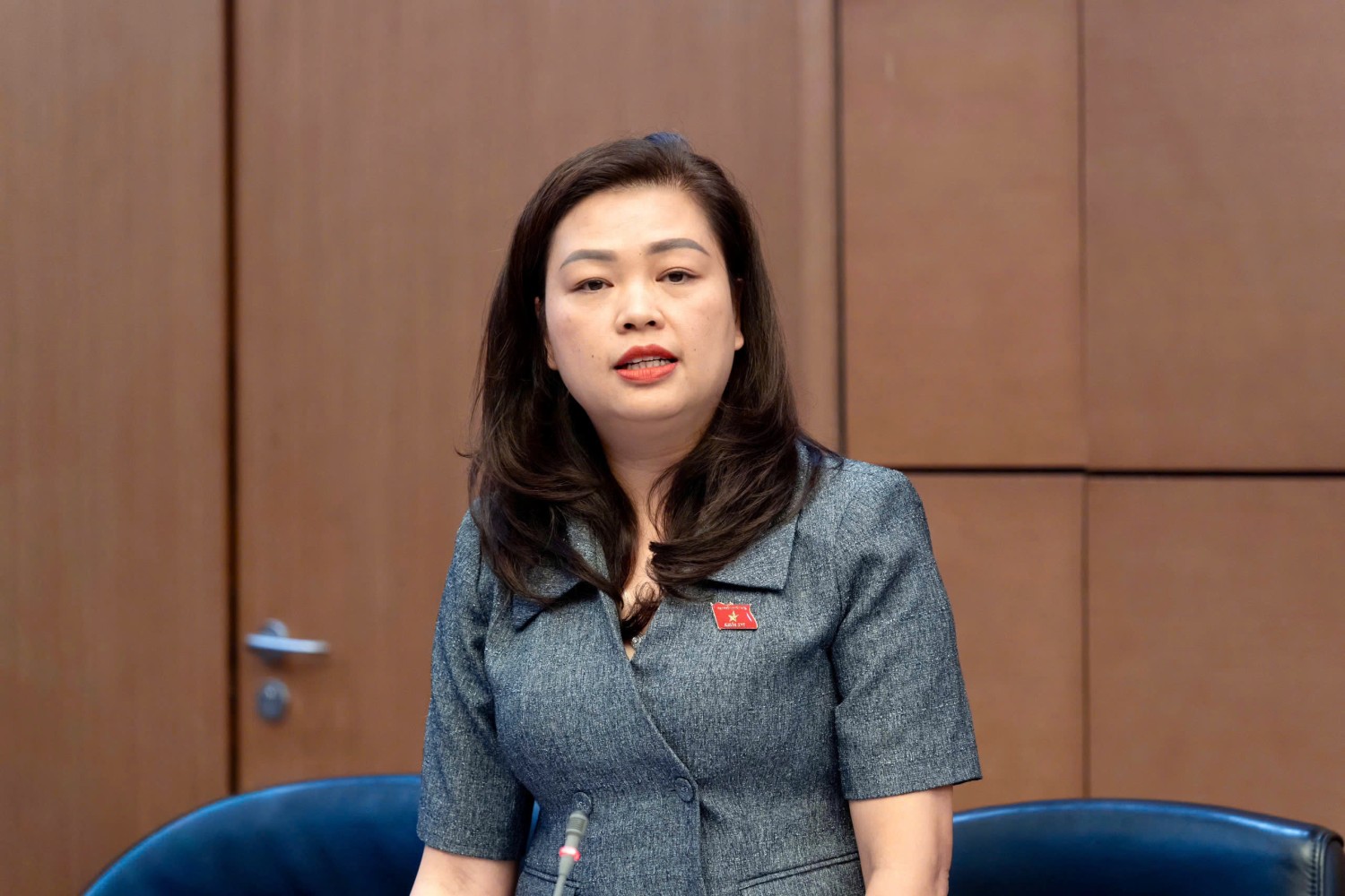Đại biểu Đoàn Thị Lê An phát biểu tại phiên thảo luận Tổ 16 về dự án Luật Phổ biến, giáo dục pháp luật (sửa đổi)