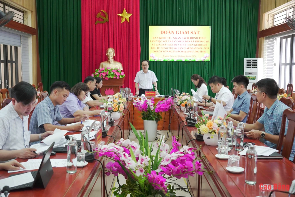 Trưởng Ban Kinh tế - Ngân sách, HĐND tỉnh Dương Hùng Dũng phát biểu kết luận chương trình giám sát