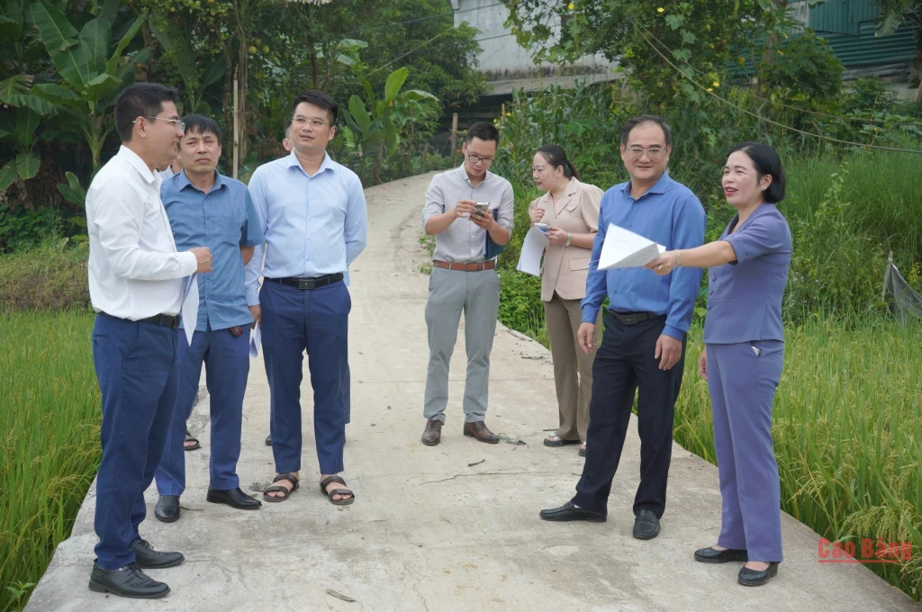 Đoàn giám sát thực địa dự án đường nông thôn và cầu dân sinh khu vực Nà Lẹng, xóm 2, xã Chu Trinh (cũ).