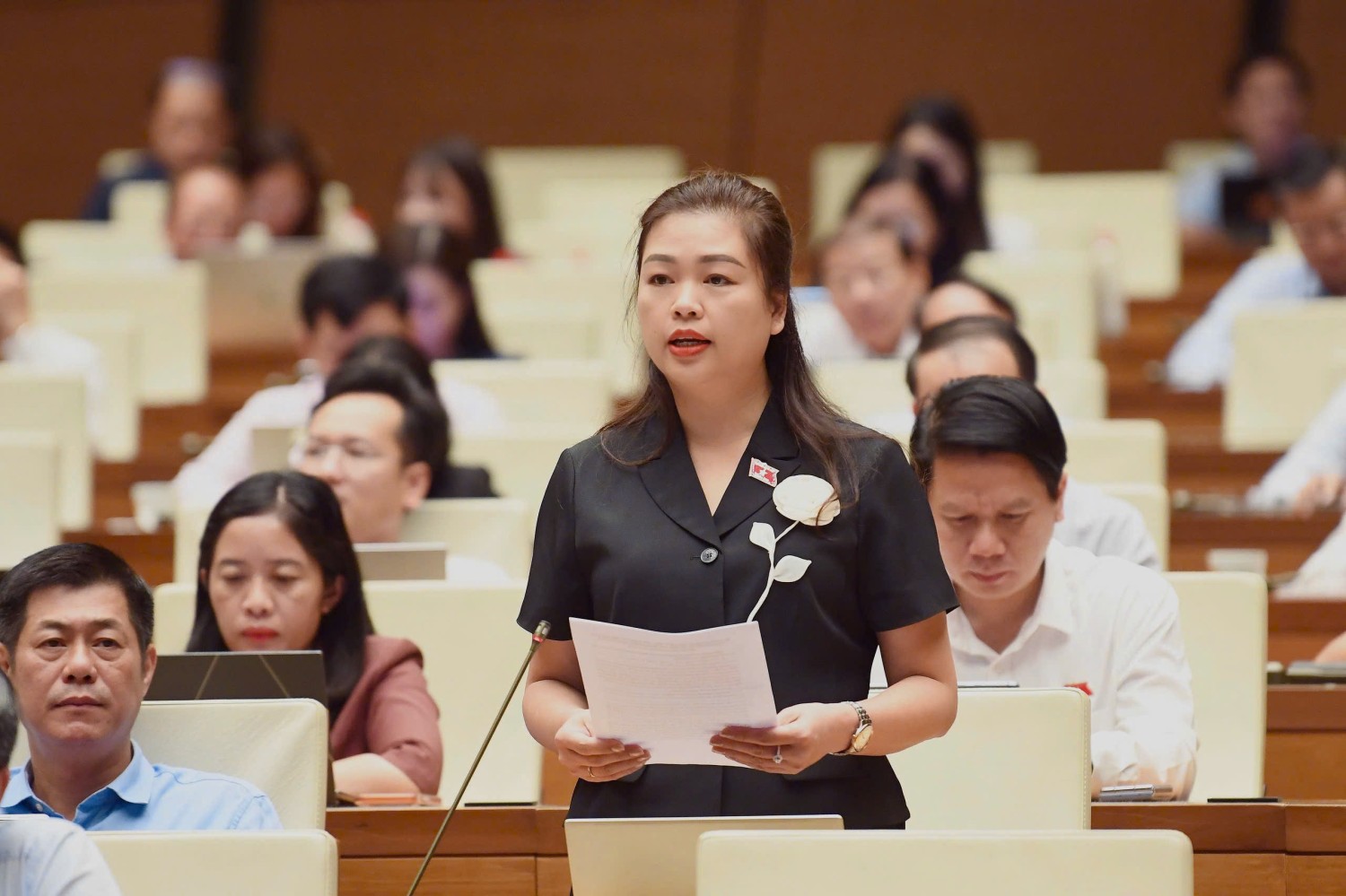 Đại biểu Đoàn Thị Lê An phát biểu thảo luận tại Hội trường