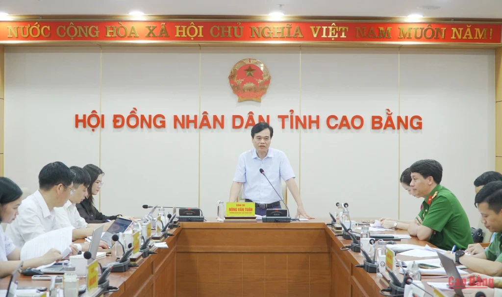 Các đại biểu dự họp