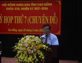 DSC-0015.jpg